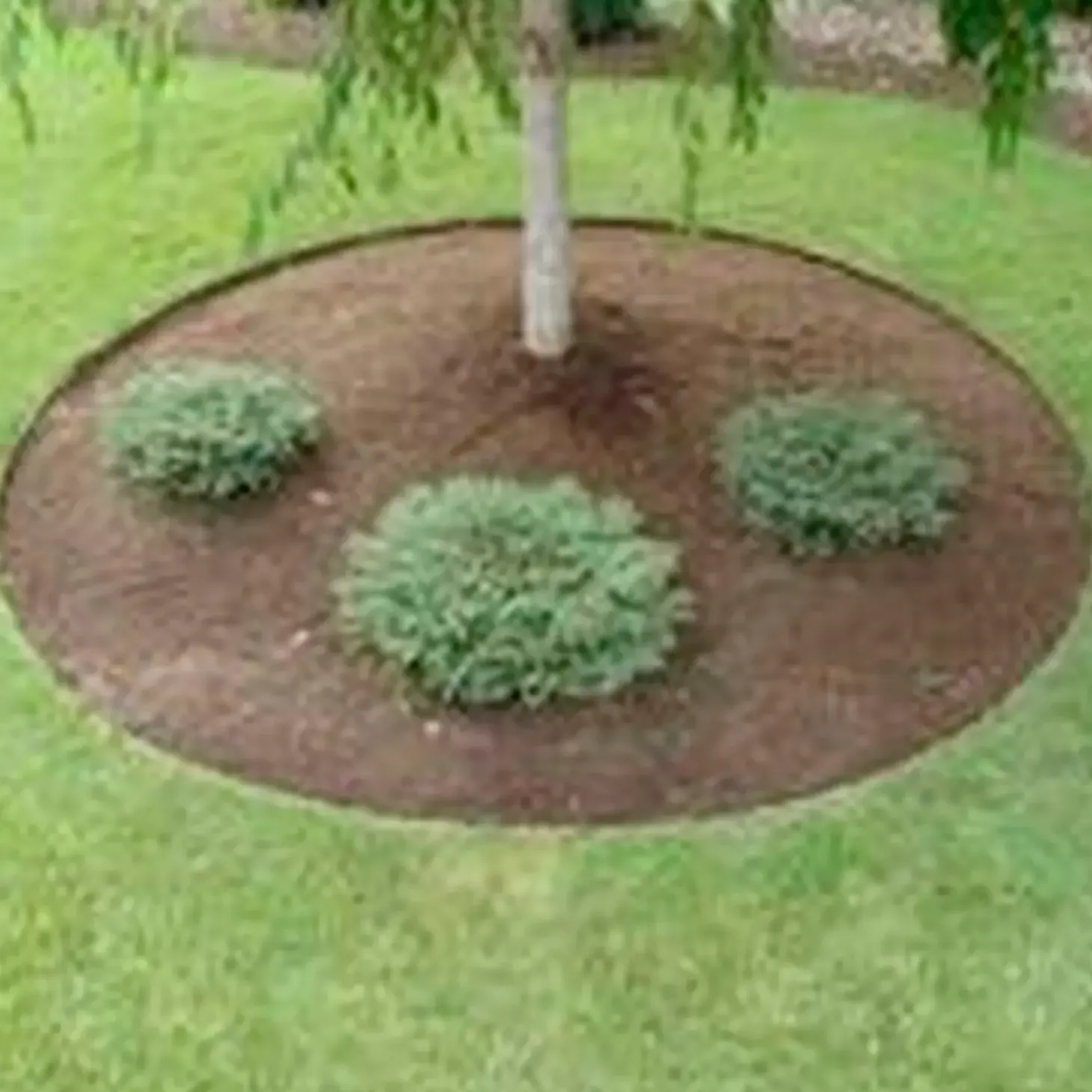 Trim® mod mos 3,5 kg