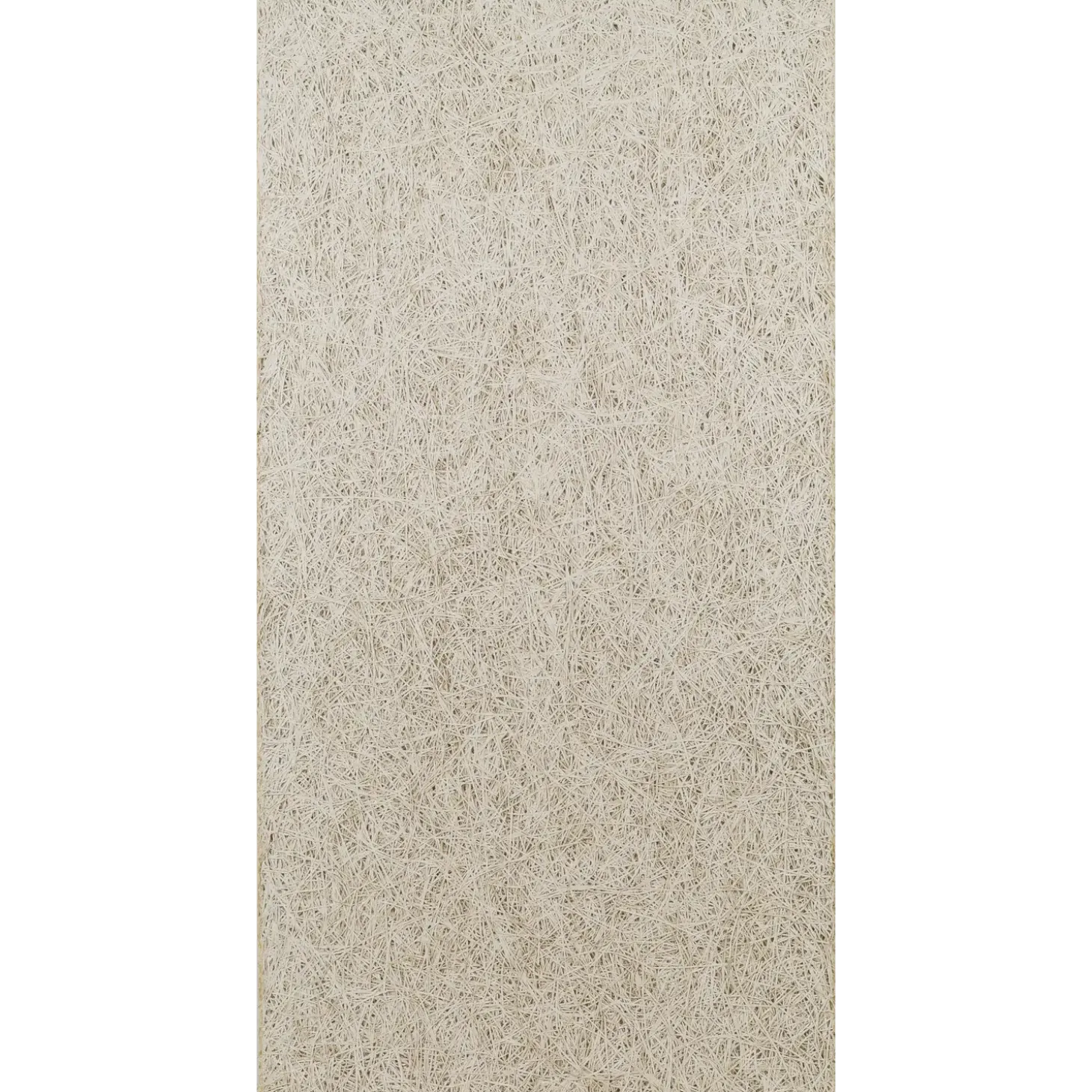 Troldtekt loftsplader lys natur fin 25x600x2400 mm