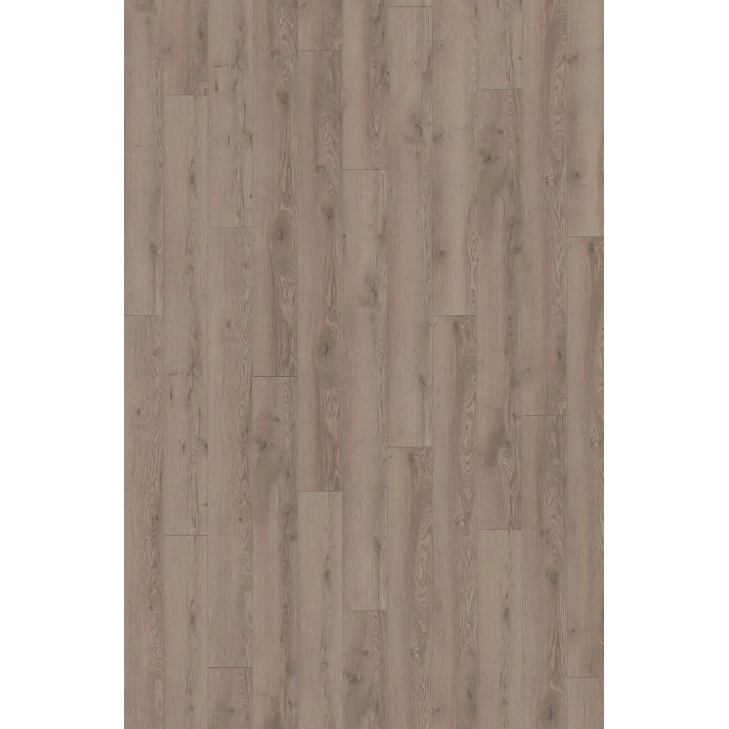 Wallmann Mammut laminatgulv grå mountain eg 188x1845x12 mm