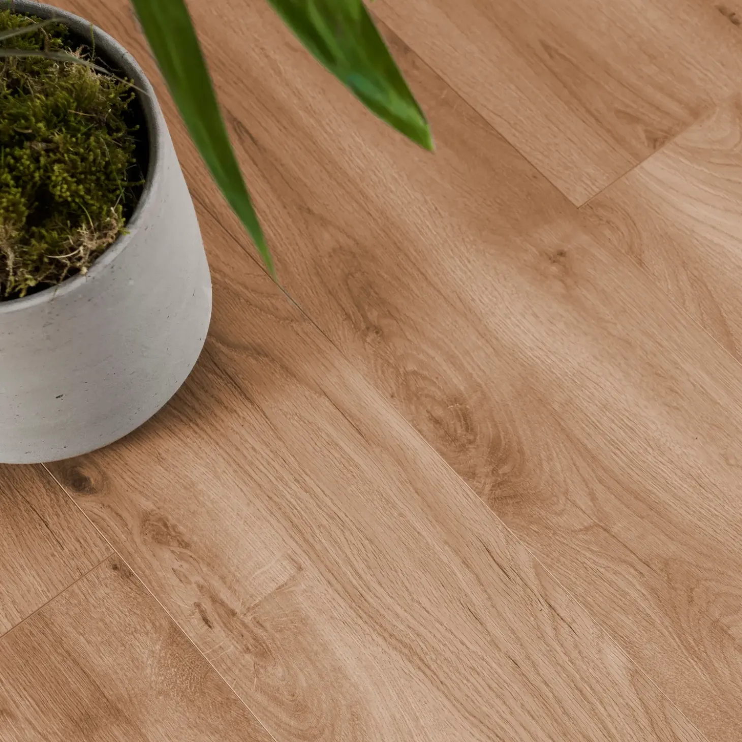 Wallmann Organic silent hybridgulv mørk natur eg 245x2003x9 mm