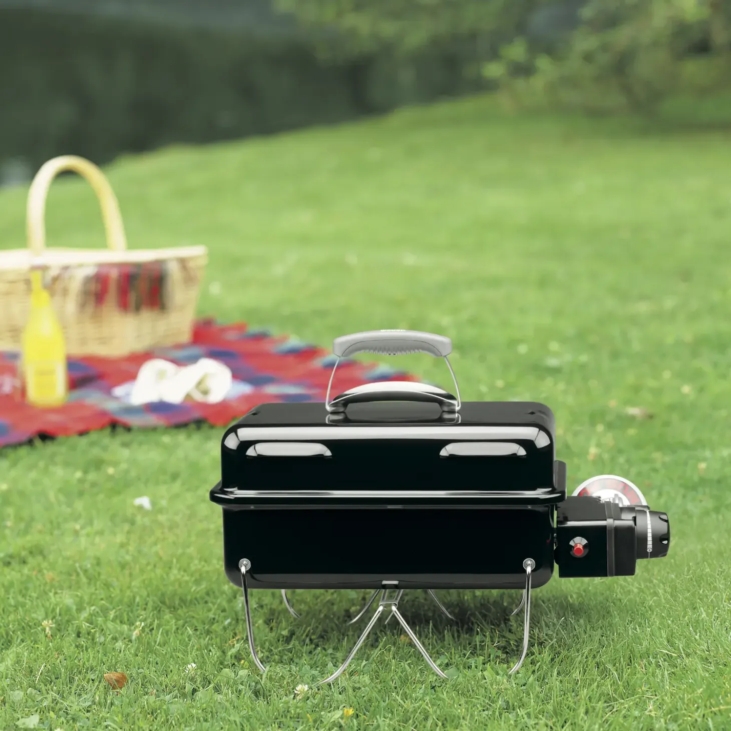 Weber® Go-Anywhere gasgrill