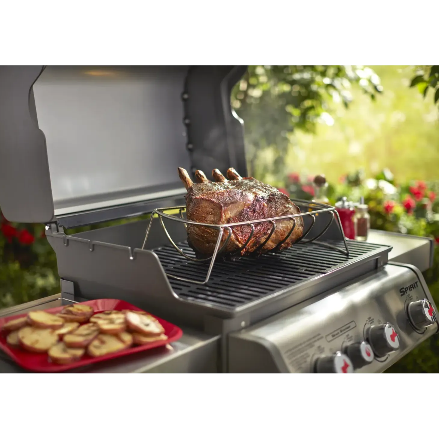 Weber Premium stegholder