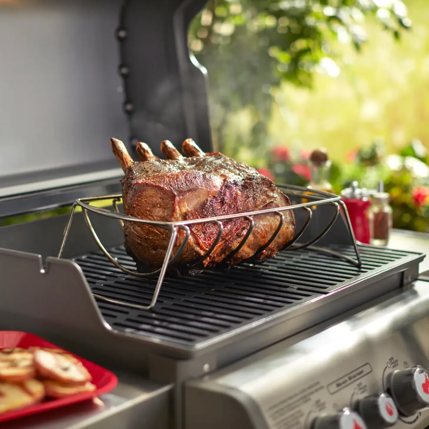 Weber Premium stegholder