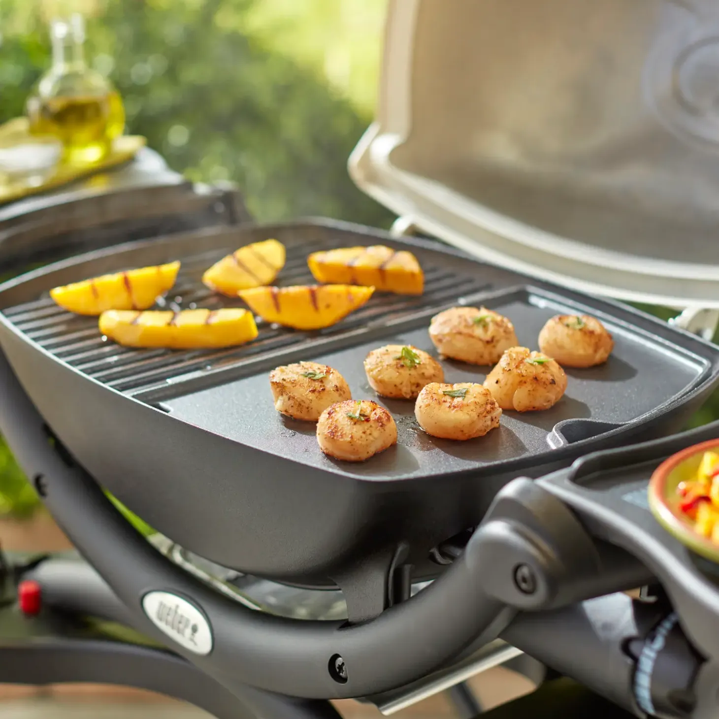 Weber® stegeplade til Q300/3000-serien (indtil 2024)