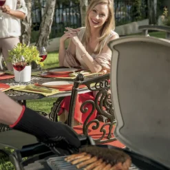Weber stegerist stor til Q2000/3000-serien