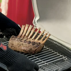 Weber stegerist stor til Q2000/3000-serien