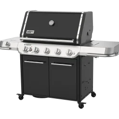 Weber Summit® FS38 E Gasgrill