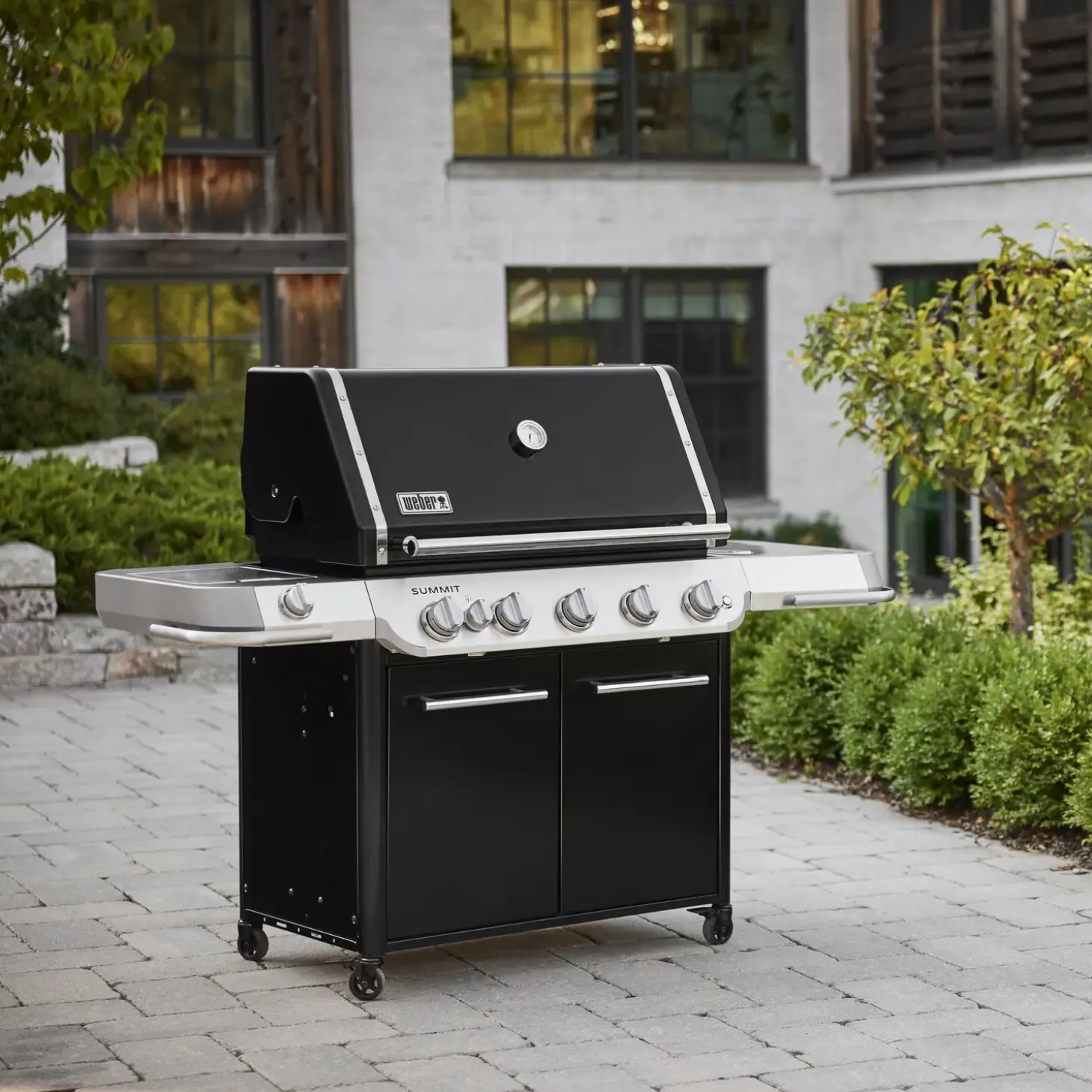Weber Summit® FS38 E Gasgrill